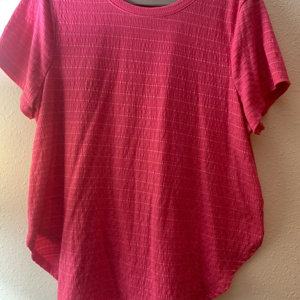 Lane Bryant (2 tops)Blue and White Striped Top and Pink Pinstriped Top - Picture 2 of 16